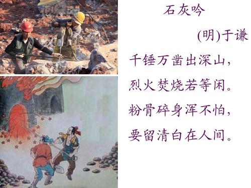 精灵萌宝贝小米官方版下载